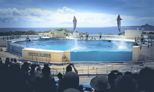 海洋博公園海豚表演劇場