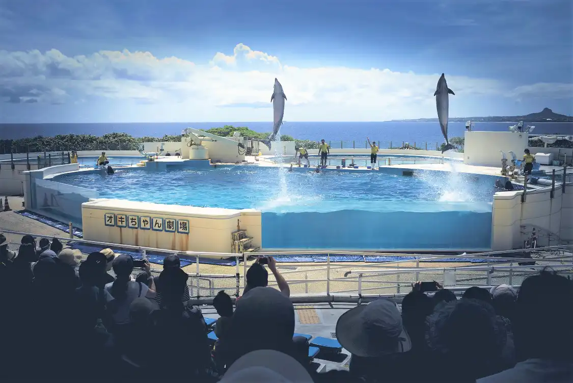 Hotels near Okichan Theatre