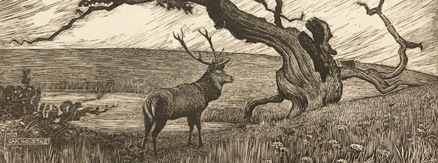 Performing Trees Whitworth collection | The Whitworth