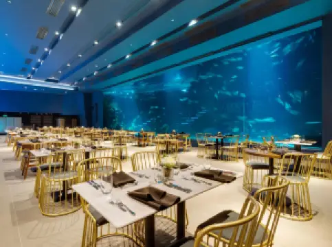 Aqua Dining adventure