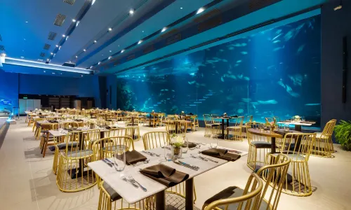 Aqua Dining adventure