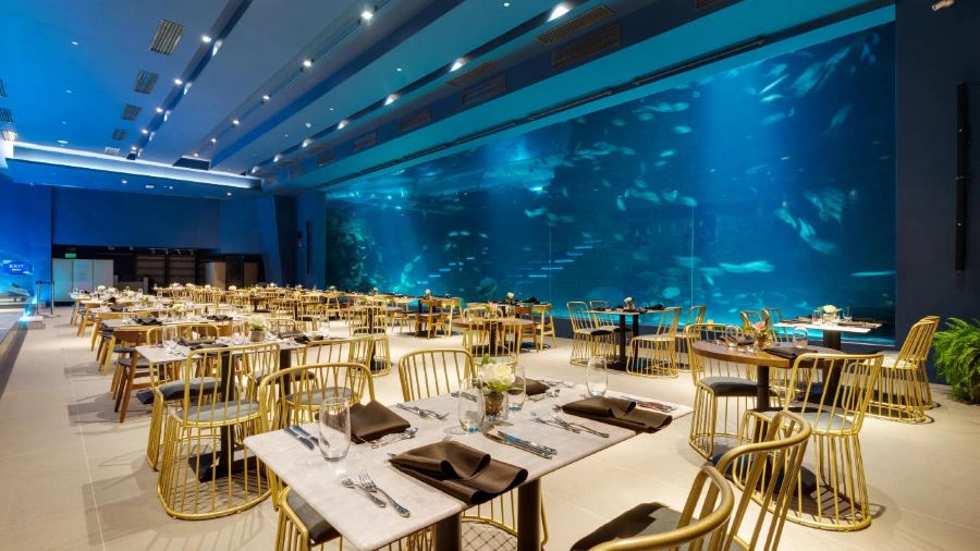 Aqua Dining adventure