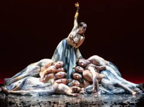 Aotearoa New Zealand Festival of the Arts