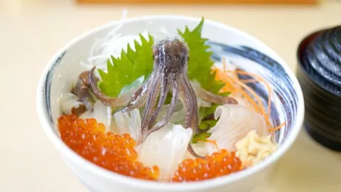 Tabiji in Hakodate