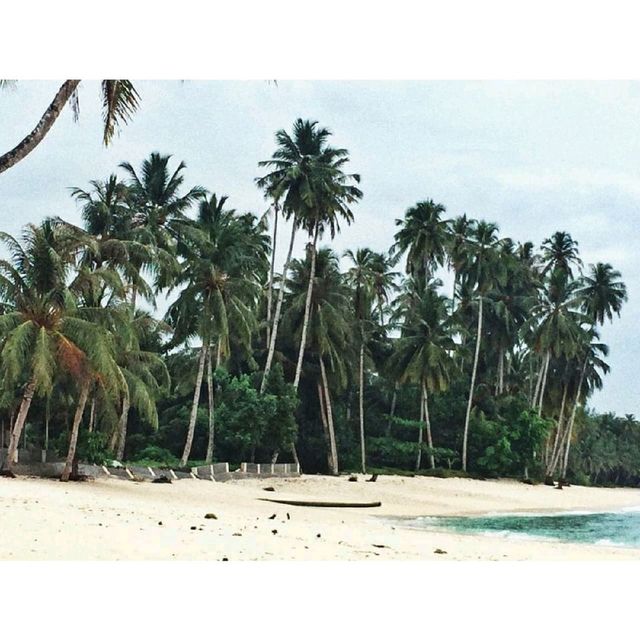 Mentawai Island