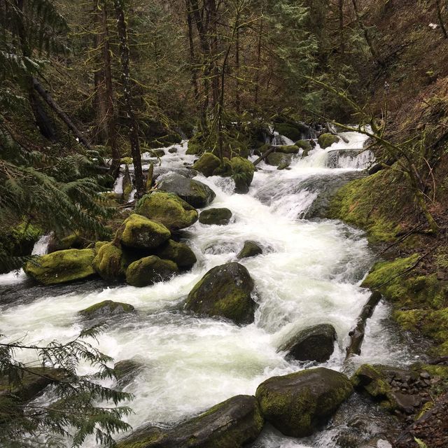 Hiking Soothes and Clears My Mind!