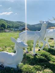 瀋陽國家森林公園森蒲牧場