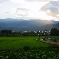 SI YUE CHU FANG User Photo