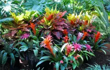 Samuel P Taylor State Park