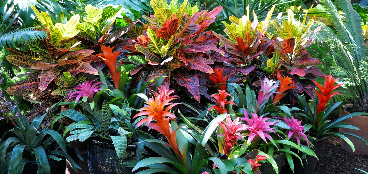 San Geronimo Travel Guide 2023 Things to Do, What To Eat & Tips