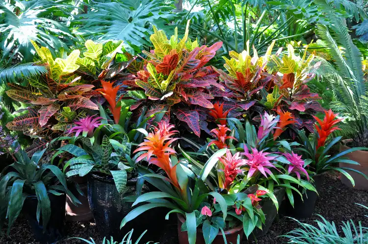 Hotels in San Geronimo