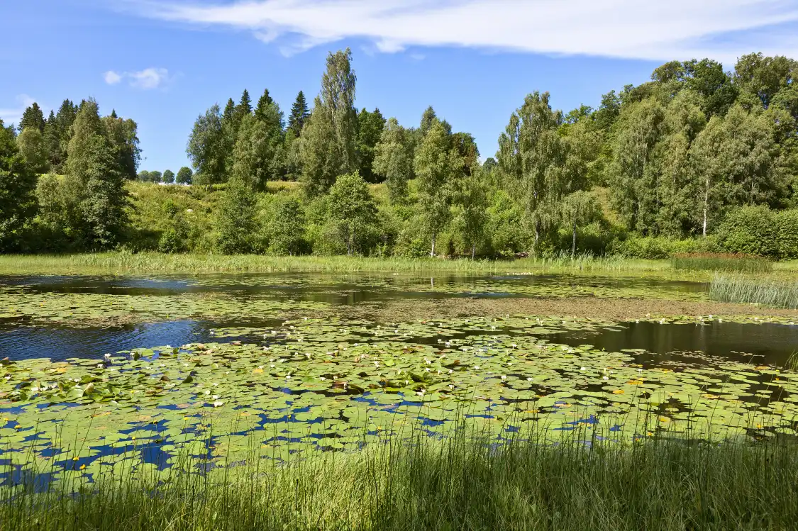 정저우/정주 국가삼림공원 주변 호텔