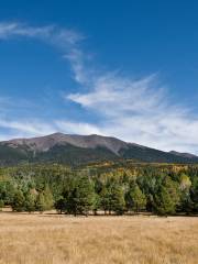 San Francisco Peaks