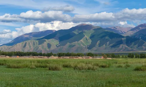 Barkol Grassland
