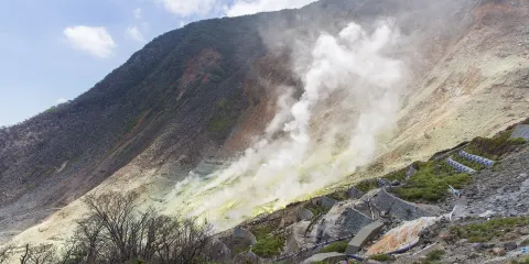 大涌谷+蘆之湖+箱根神社+雕刻森林美術館一日遊【包車遊】