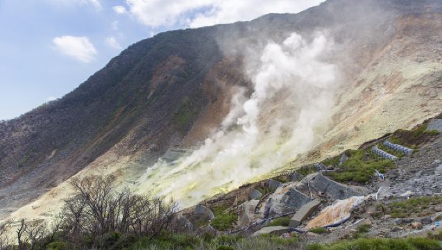 大涌谷+蘆之湖+箱根神社+雕刻森林美術館一日遊【包車遊】