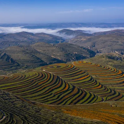 Zug Guyuan Liwang