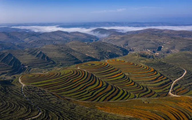 Vé máy bay Cố Nguyên Cáp Nhĩ Tân