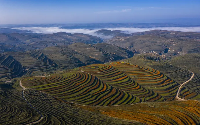 Longshan Pass of Tang Dynasty 주변 호텔