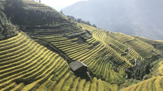 通常说到的龙脊梯田，指的是平安寨这边的梯田，这里也是开发较早