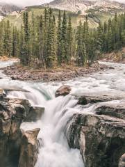 Sunwapta Falls and Canyon