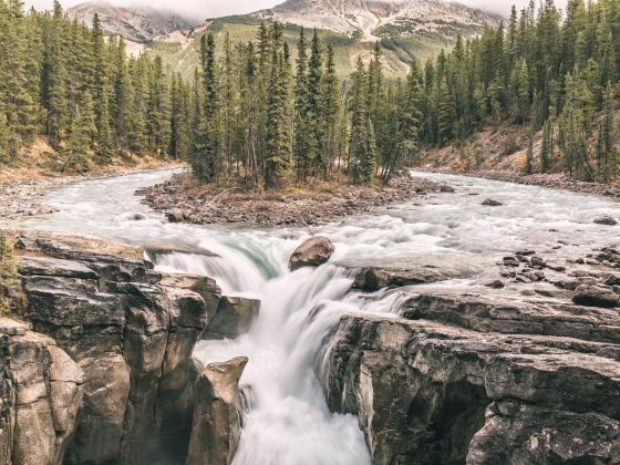 Sunwapta Falls and Canyon