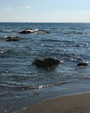 一色海岸 海水浴場