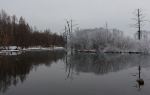 白浪緑洲湿地公園