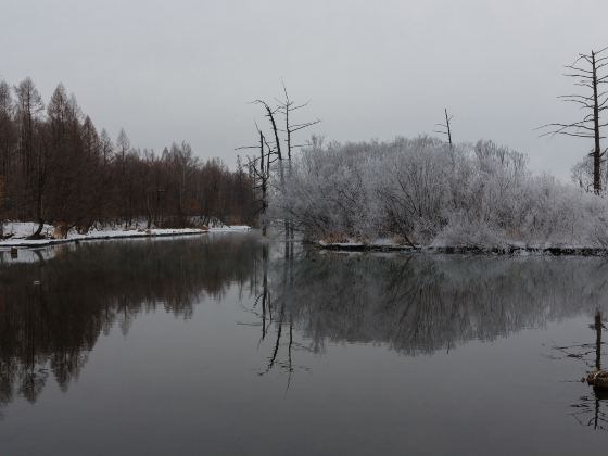 白浪緑洲湿地公園