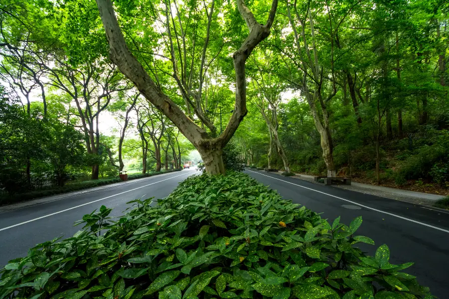 Ubako Natural Tansho Walking Road