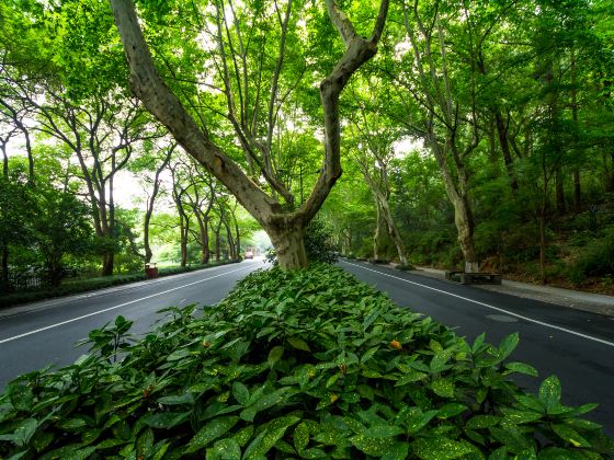 Ubako Natural Tansho Walking Road