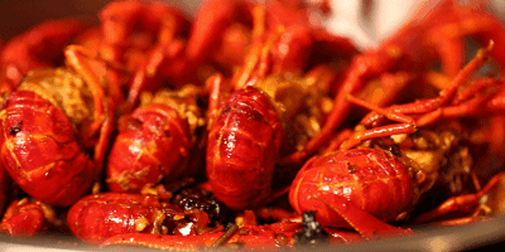 小螺號海鮮麵館