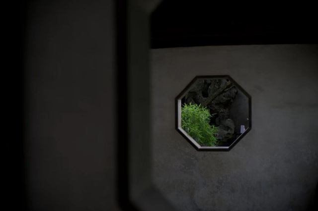 Lingering Garden