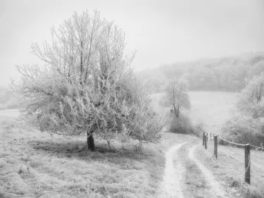 Hessen