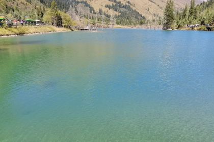 Amige'erdongcangcha Restaurant