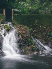 Xiaokeng National Forest Park