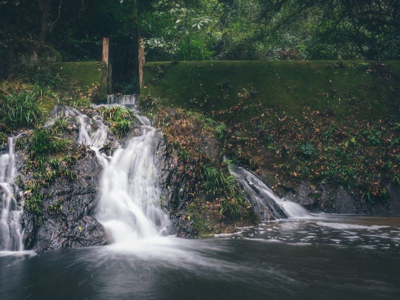 Xiaokeng National Forest Park