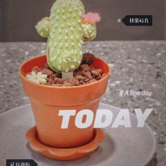 AMINO AMIGO User Photo