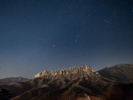 MK居停優惠