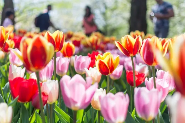 Les 8 meilleures destinations à visiter au printemps