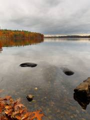 Walden Pond State Reservation