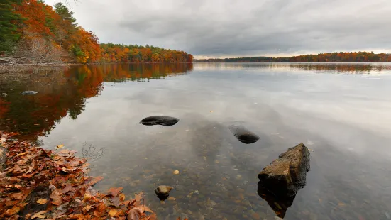 Walden Pond State Reservation