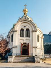 Alexander Nevsky Russian Orthodox Church