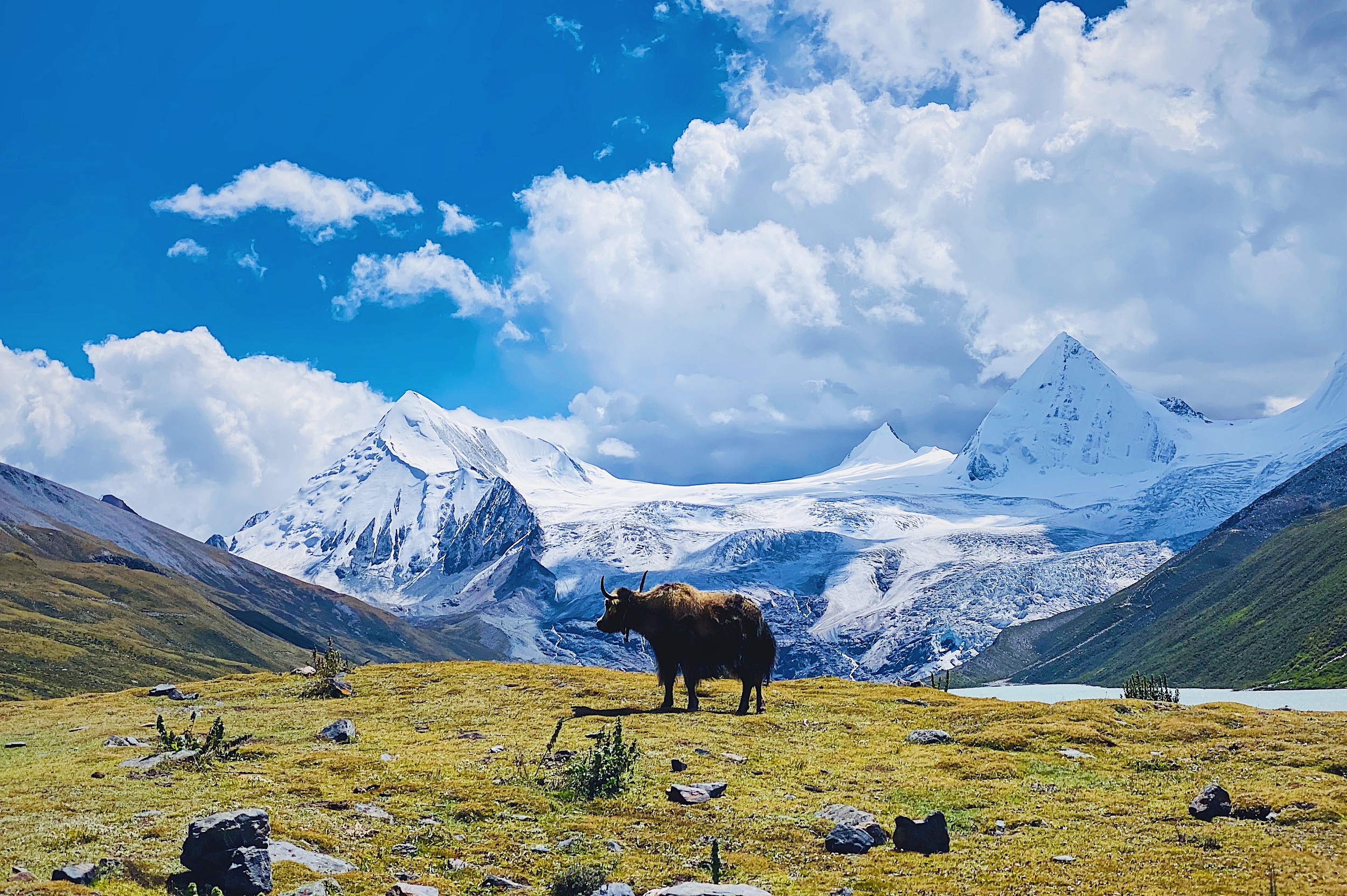 2025 Nagqu Travel Guide: Must-see attractions, popular food, hotels, transportation routes (updated in July)