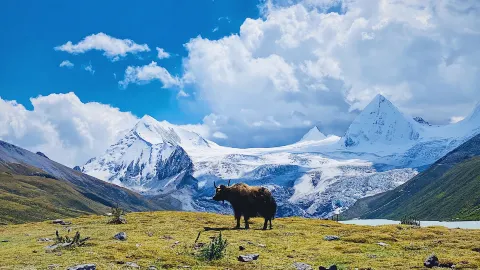 ナクチュ travel destination