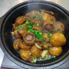 PENG XIN LAMB NATIONAL User Photo