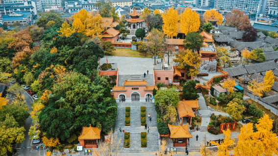 Horse-Training Terrace