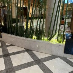 悦河咖啡厅-西餐厅 User Photo