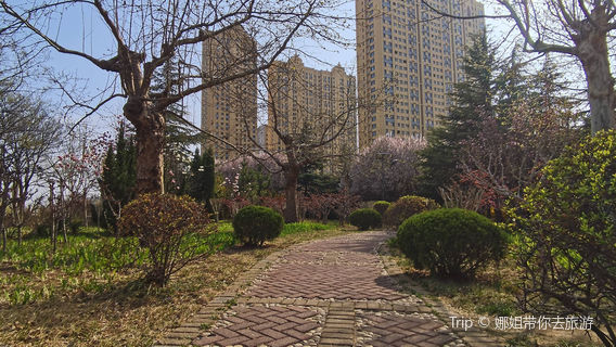 Culture & Sports Park