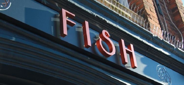 Fish at 55